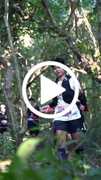 BIB:  <button type="button" onclick="openModal(28056535)" class="btn btn-primary btn-sm float-right" data-toggle="modal" data-target=".modal-high-quality">
                <i class="fa fa-download"></i> Download
                </button>